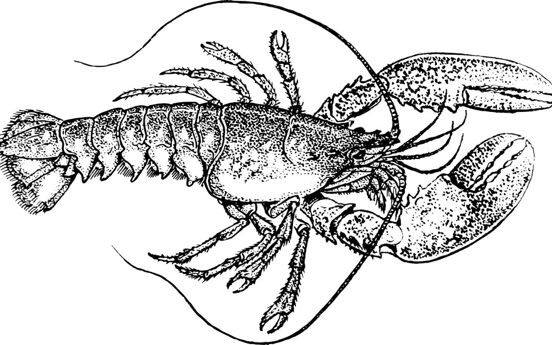 History Repeating Itself? 3 Questions to Ask When You’re Stuck In A Rut